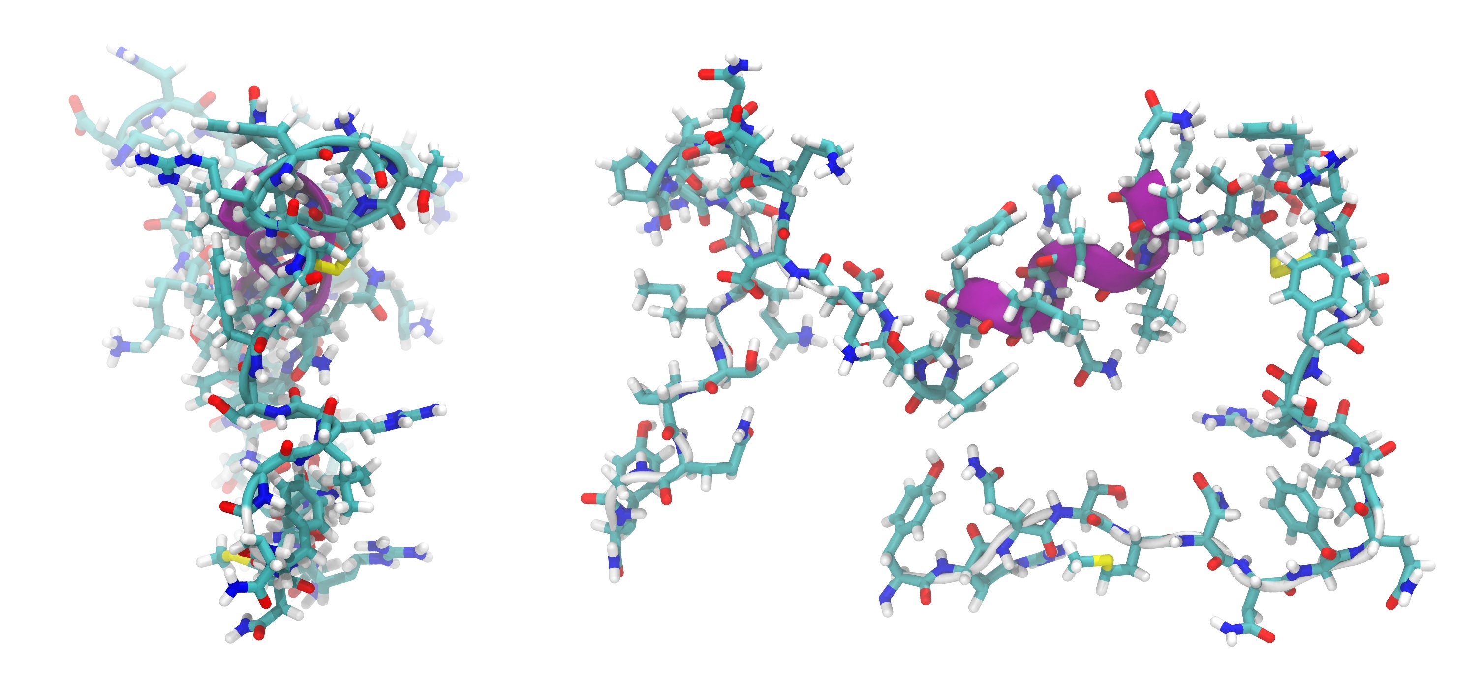 adrenomedullin-872350